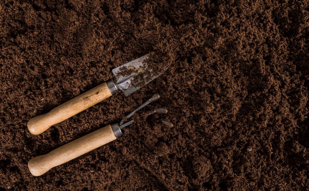 Attrezzi da giardinaggio su terra
